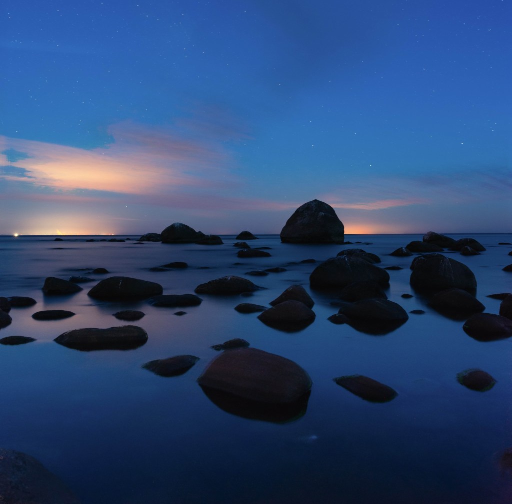 Michail Dementiev-CNOI6GcOyeM on Unsplash